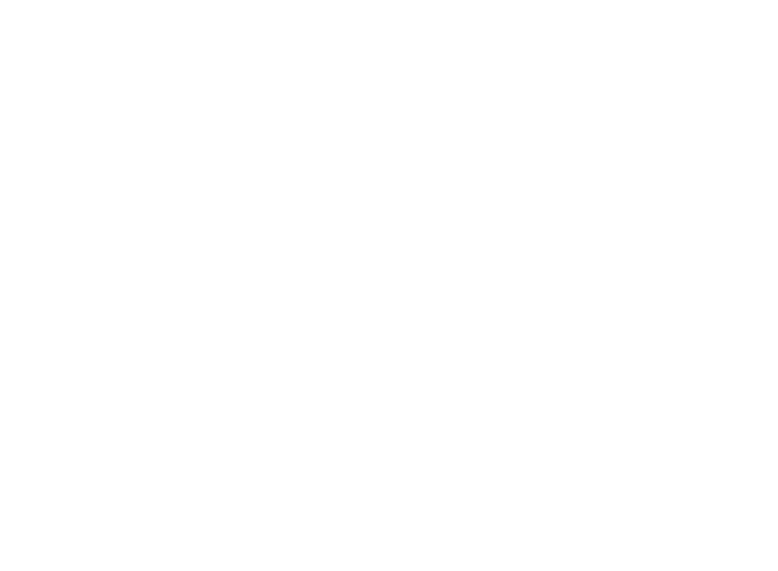 The Magic Castle